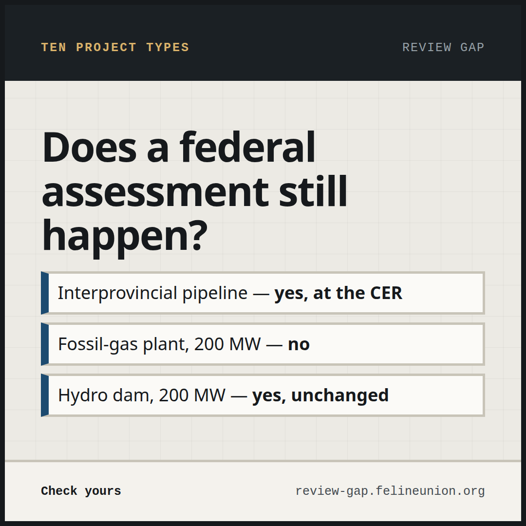 A share card reading: Does a federal assessment still happen?